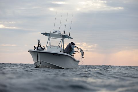 Minn Kota RT Terrova Quest 90/115 WR 152cm weiß - Outdoor Monkey