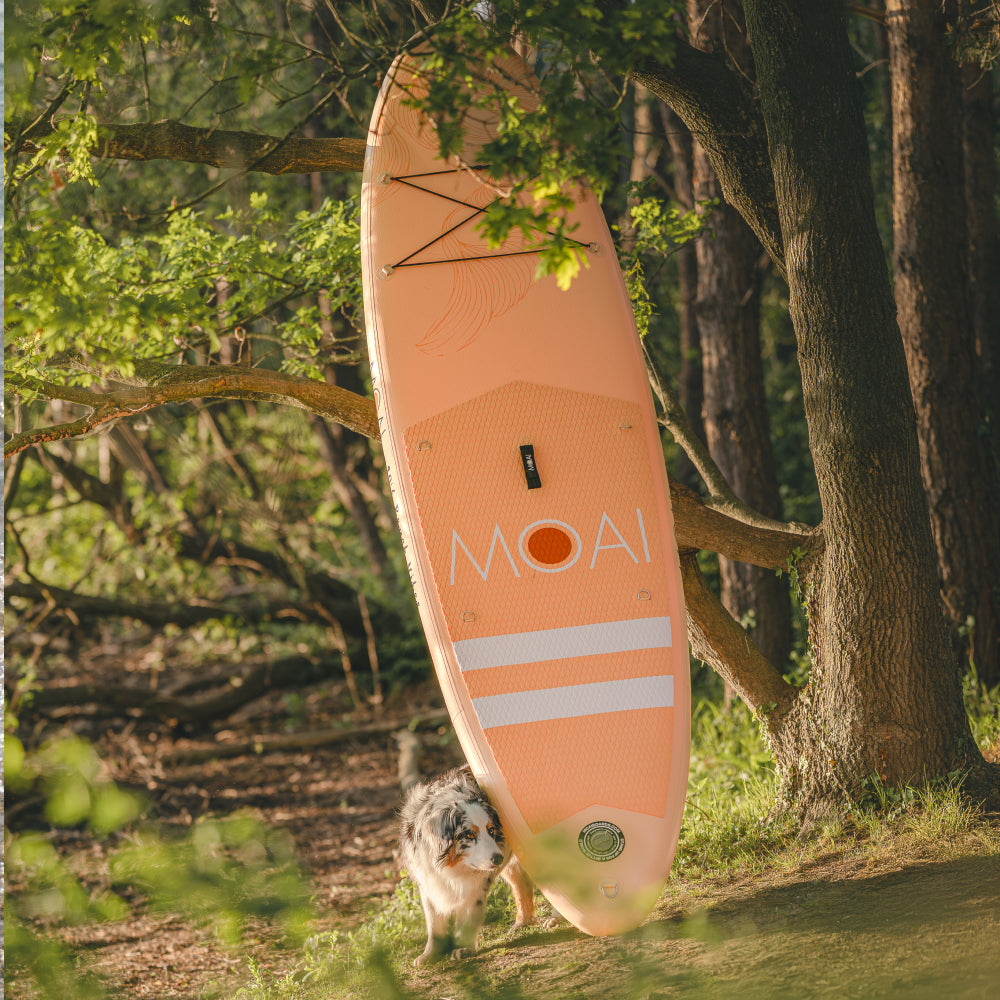 MOAI Beach Vibes SUP 10'6 Dawn Board